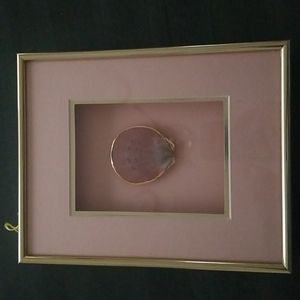 Shadow box framed shell